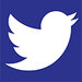 Twitter_White_Blue